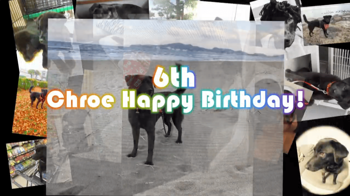 あゆみ　サンプル