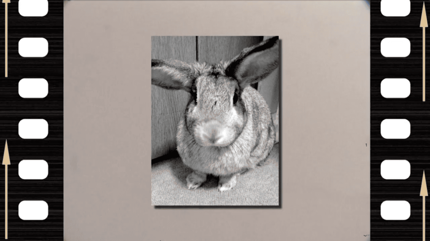 ありがとう　サンプル