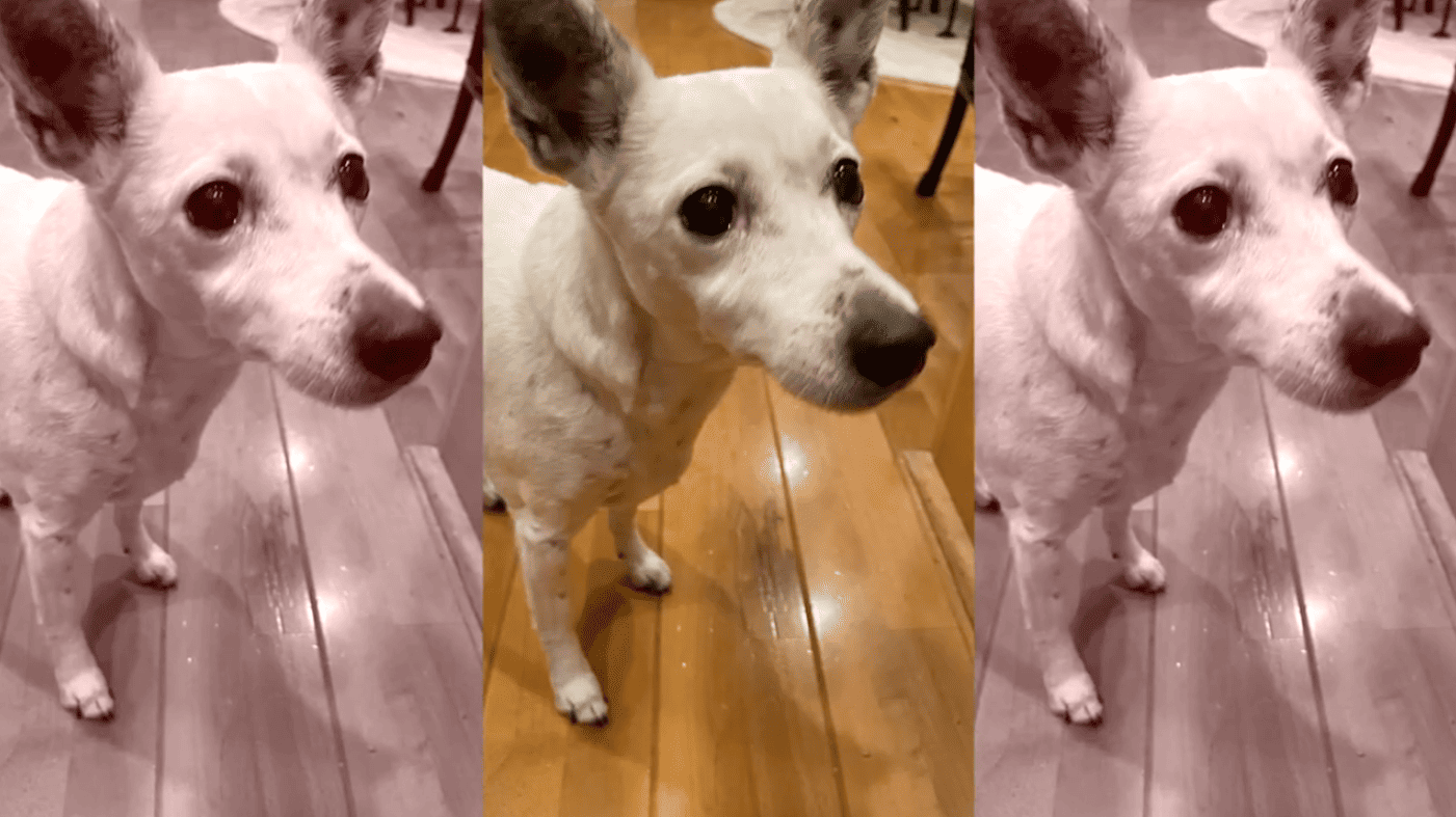 ただいま　サンプル